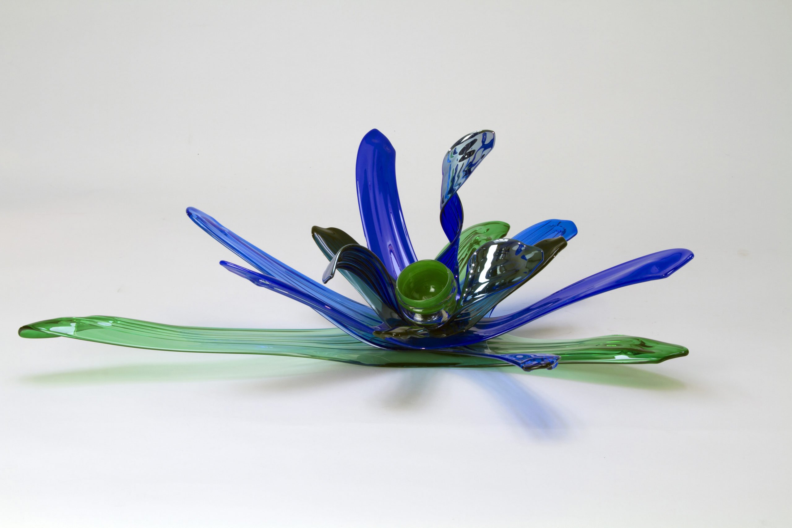 Green and Silver Blue Lily